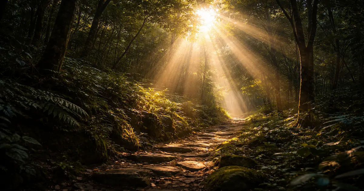 ¿Me ven desde el cielo?: si nuestros difuntos conocen lo que nos pasa aquí